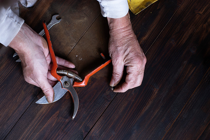 Travaux de jardinage à effectuer en décembre et janvier